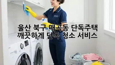 울산 북구 매곡동 단독주택, 깨끗하게! 단독 청소 서비스
