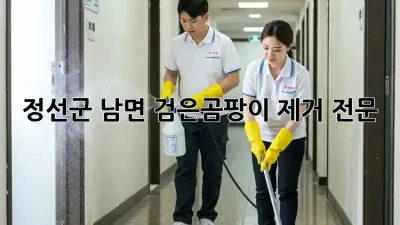 정선군 남면 검은곰팡이 제거 전문